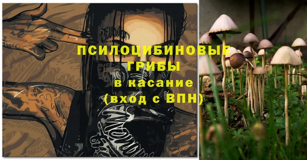 спайс Горняк