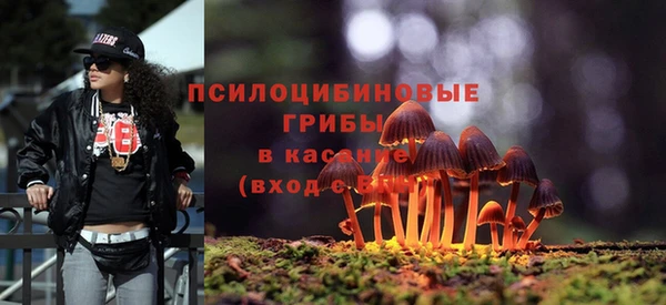 мяу мяу мука Горно-Алтайск