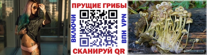 Галлюциногенные грибы мухоморы  Купить закладки  Княгинино 